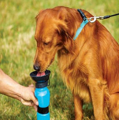 Portable Water Bottle Drinker For Pet Dogs