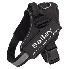 Personalized No-Pull Harness